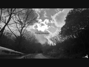 Flying creature【オリジナル曲】