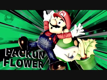 サン サ ベリア１４