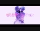 相思相愛リフレクション/歌ってみた【son】