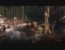 【SEKIRO】初見プレイを実況してみた（実況できてるとは言ってない）part08