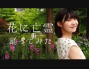 花に亡霊／ヨルシカ 踊ってみた【ランチャーム】