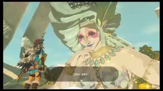 41クリア後【初見プレイ】ゼルダの伝説 ブレス オブ ザ ワイルド