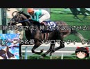 【競馬】ゆっくりさんと未来に語り継ぎたい名馬たち その028【ゆっくり朗読】