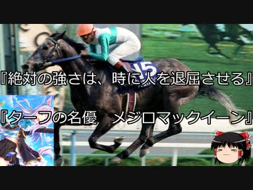 【競馬】ゆっくりさんと未来に語り継ぎたい名馬たち その028【ゆっくり朗読】