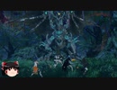 pso2:ngs 仲間との共闘