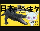 【猫ゆっくり】生き物ニュース「国内最大」全長5メートル“人食いワニ”がやってきた！