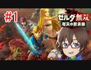 【ゼルダ無双 厄災の黙示録】えっ！？俺が最強！？無双します！part1【実況】の生放送アーカイブ動画