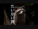 たいがい狸【山にまつわる怖い話・ゆっくり朗読】