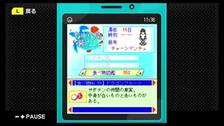 【ちゅら島暮らし】 沖縄で田舎生活【実況】  十二日目