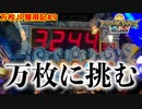 【メダルゲーム】万枚JACKPOT目指して大冒険！その9「フォーチュントリニティ精霊の至宝祭」