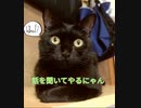 毛布とお散歩
