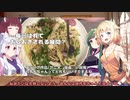 #EX 納豆パスタ：お礼,コメント返信,広告者様紹介