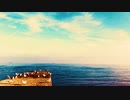 Seagulls living in the Sea