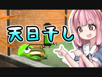 【Splatoon2】姫系あかねちゃんのガバガバガチマッチ！#24【VOICEROID実況】