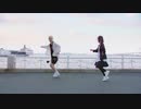 【种籽×驼驼】SHAKE IT！