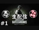 【生放送】おとあにと楽しむPUBG＃１【１戦目】