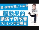 【腰痛対策ストレッチ】腰痛予防改善に超効果的なストレッチ2周