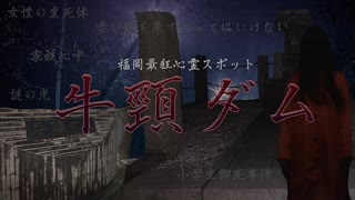 【心霊】心霊スポットに赤い服を着ていったら大変なことになった【牛頸ダム】