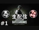 【生放送】おとあにと楽しむPUBG＃１【２、３戦目】