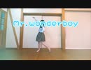 【みほみ誕】Mr.wonderboy ぼっちで踊ってみた 【ちゃいん。】