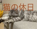 昼寝中にカメラを回したら