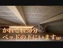 ベッドの下から出てこないと思ったら