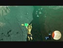 気になったので、コッコの魂で確認してみた