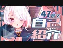【自己紹介】47秒で理解らせる▷siNA【新人VTuber】