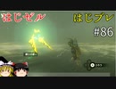 【ゆっくり実況】はじめてのゼルダはじめてのブレワイ part86【ゼルダの伝説ブレスオブザワイルド】