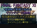 【FF11】もう迷わない！ナイズル解説！