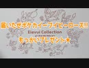 届いたぜポケカイーブイヒーローズ!!もっかいプレゼント★