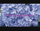 【歌ってみた♫】rain stops，good-bye/におＰfeat.初音ミク『かずかずぱんだ』