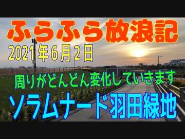 ふらふら放浪記プチ（ソラムナード羽田緑地)in2021年6月2日