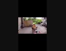 離さんぞー