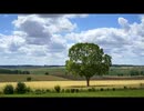 続・好きな音楽テーマ別うｐ・想われる物編Ⅱ
