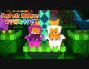 ペラペラマリオとオリガミ娘が大冒険する神ゲー【ペーパーマリオ オリガミキング 】#30（おまけ）
