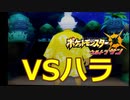 【DS直撮り練習】今更ポケモンウルトラサン　ハラ戦