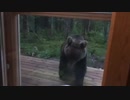フィンランド式クマの撃退方法