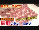 【焼き鳥定番】砂肝の魅力と捌き方