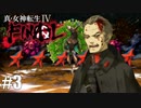 【真・女神転生Ⅳ FINAL】不条理な死・悪魔解説付き Part3