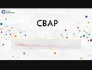 Certified Business Analysis Professional CBAP Exam Questions