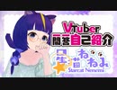 【自己紹介】Vtuber一問一答自己紹介【星猫ねねみ】