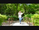 【しゅがーらいす】テレキャスタービーボーイ【踊ってみた】