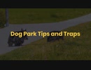 Dog Park Tips and Traps
