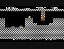 日本初マリオ2鬼畜のワールドCノーミスクリア