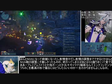 【PSO2NGS】鉱石採掘ルート解説1/5【結月ゆかり】