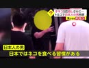 子ネコ5匹殺し食べる...トルコで日本人の男拘束