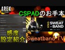 【APEX解説】CSPADのお手本「Sweatband TV 」の感度設定紹介！【PS4/Switch/エイペックス/アデルゲームズ/AdeleGames】