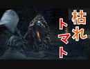 (ブラッドボーン #10)ボスが頭に枯れたトマト乗せてて集中出来ない