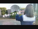 【あもち】おねがいダーリン 踊ってみた